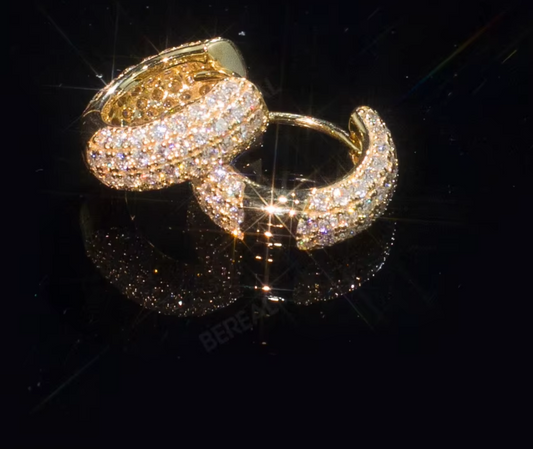 Solid Gold Hoop Earrings 